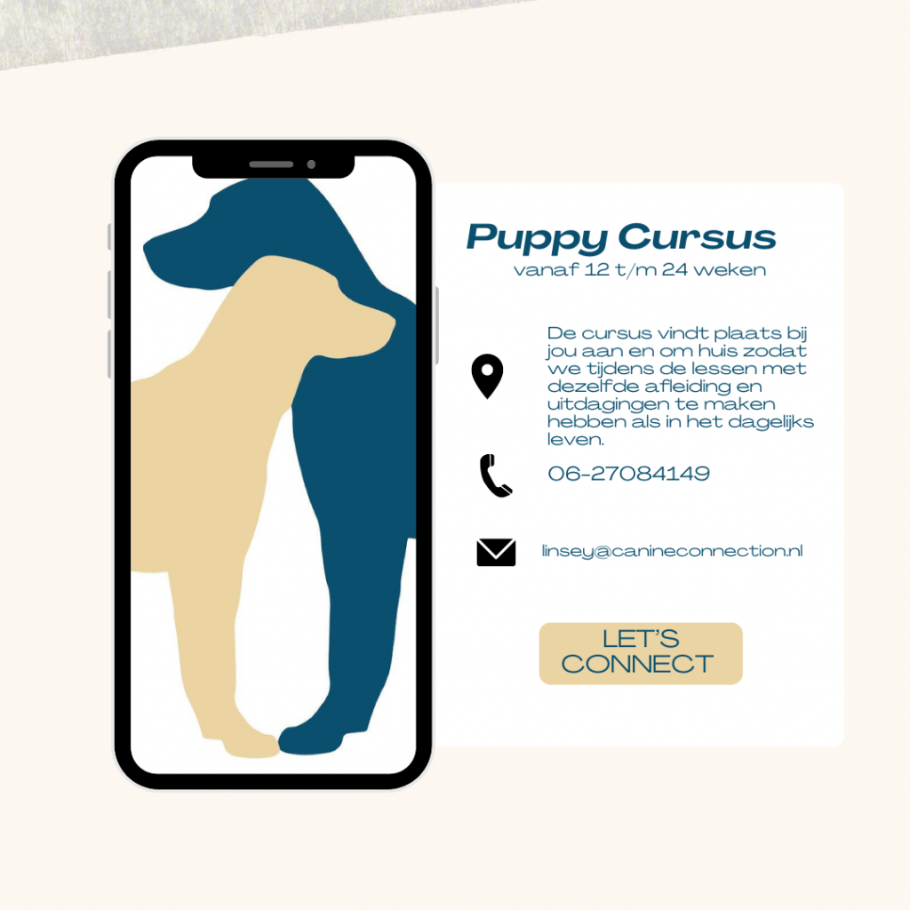 Puppy cursus 12 tot en met 24 weken