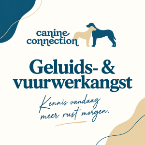 Lezing